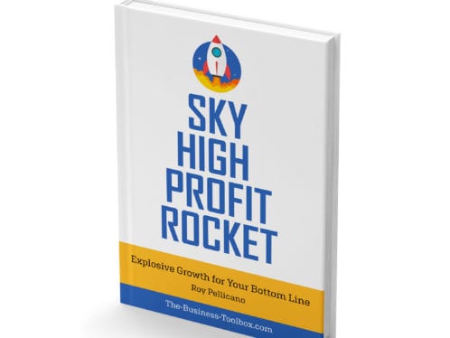 Book cover: Buy Sky High Profit Rocket: Explosive Growth for Your Bottom Line